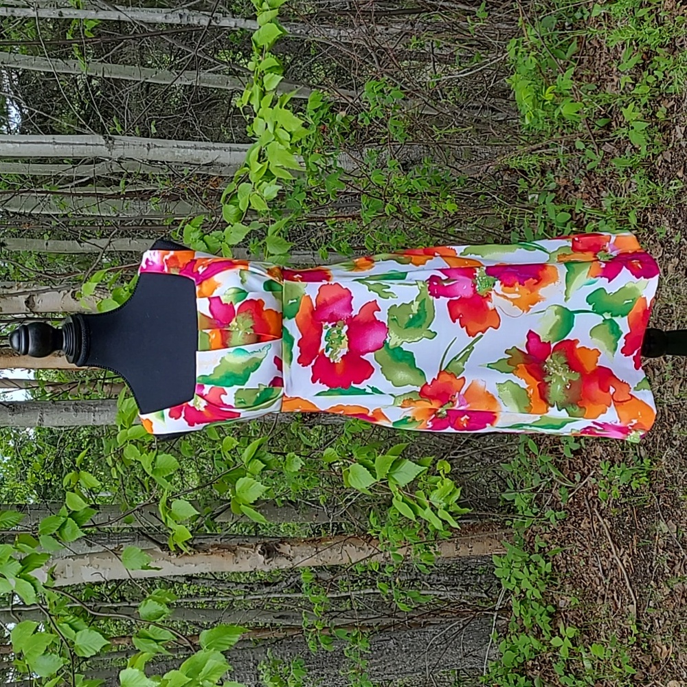 Ronni Nicole Summer Cocktail Dress